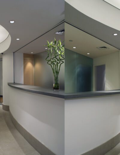 Modern reception area with curved desk and ambient lighting.